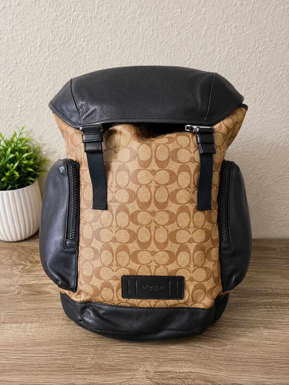 Coach Signature Roll-Top Backpack - Picture 2 of 3